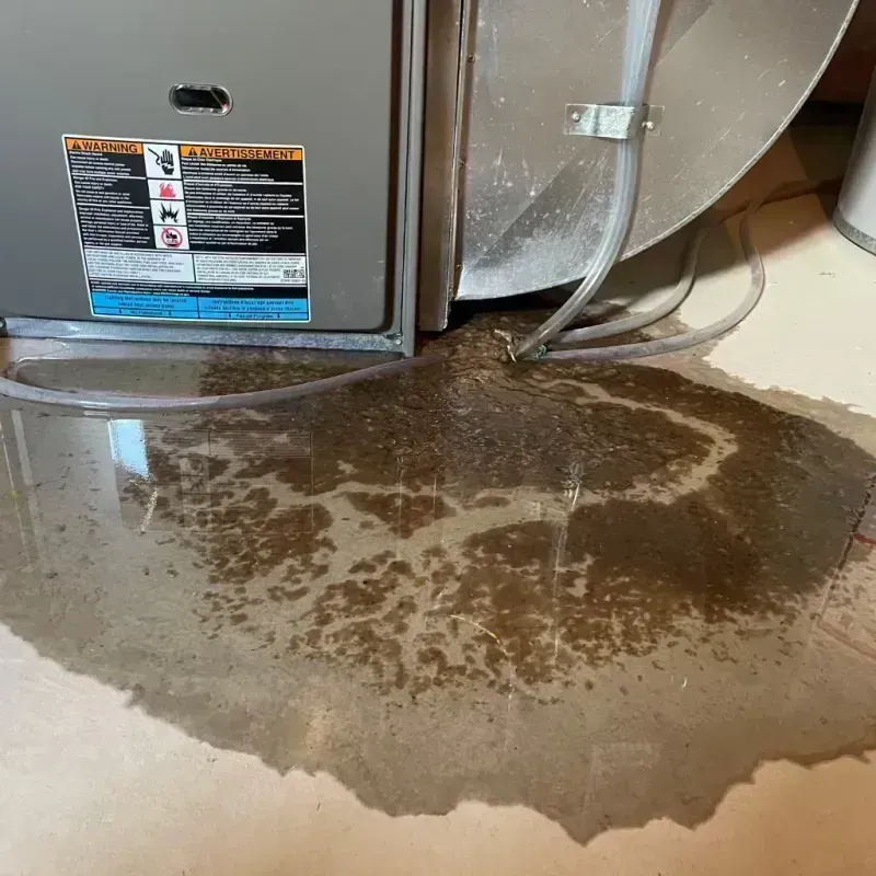 Appliance Leak Cleanup in Alto, WI